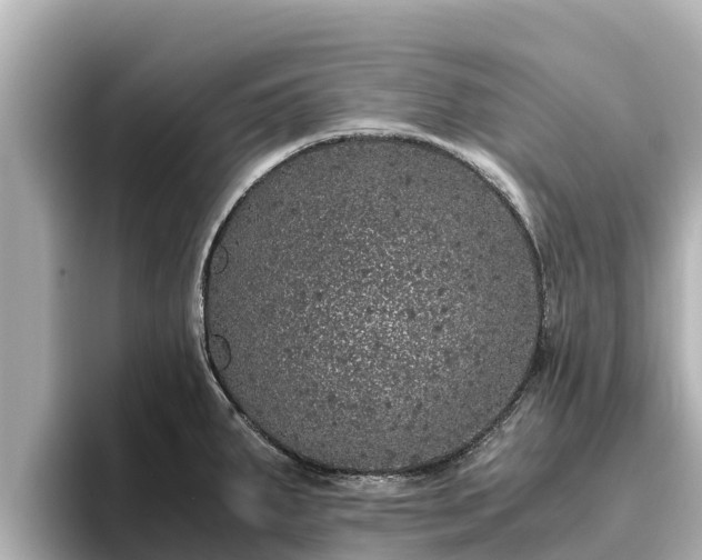 X0000096421287200801311405