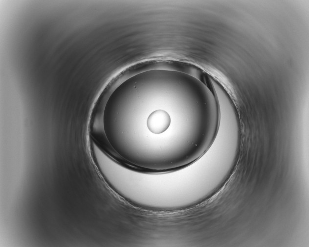 X0000096421288200801311405