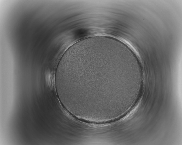 X0000096421289200801311405
