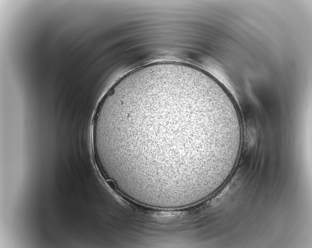 X0000096421290200801311405