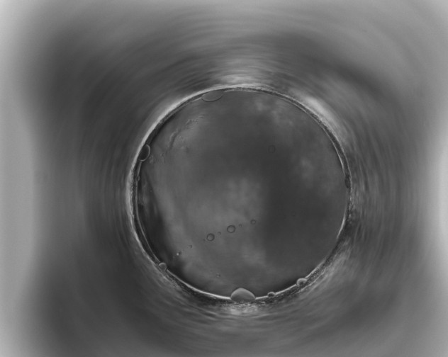 X0000096421291200801311405