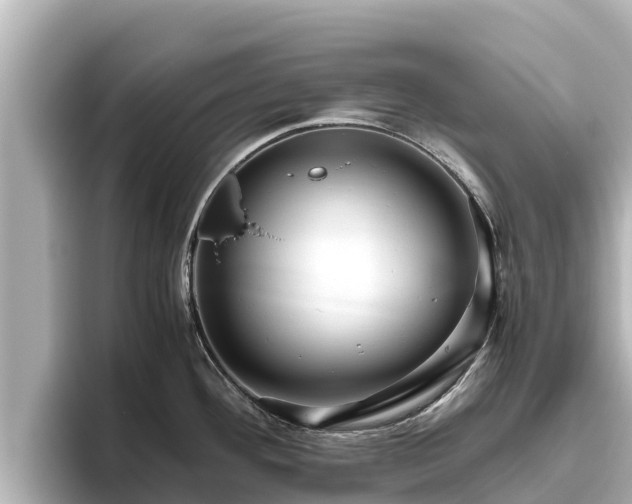 X0000096421292200801311405