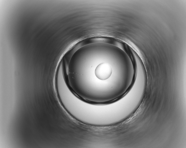 X0000096421293200801311405