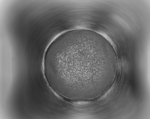X0000096421294200801311405