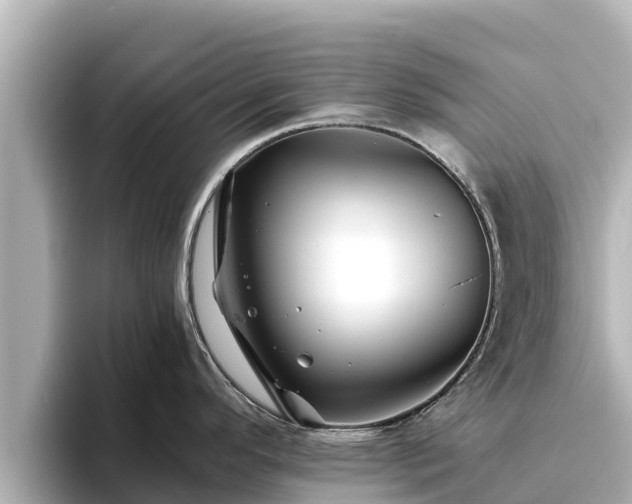X0000096421296200801311405