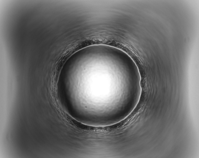 X0000096421297200801311404