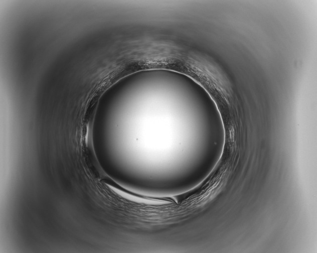 X0000096421300200801311404