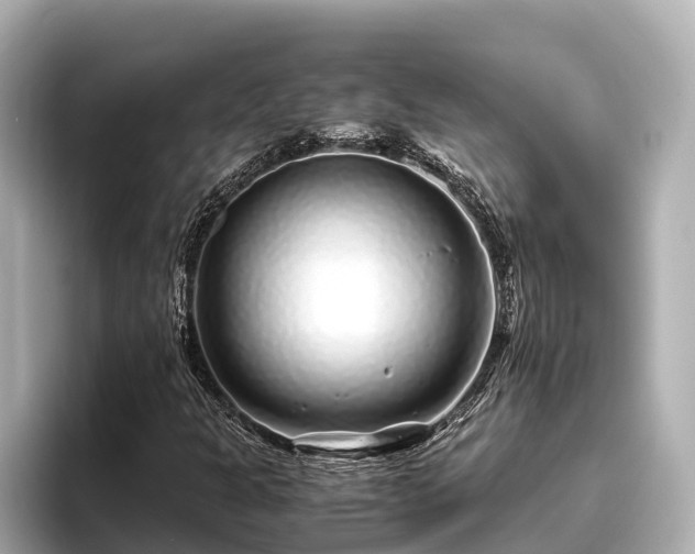X0000096421301200801311404