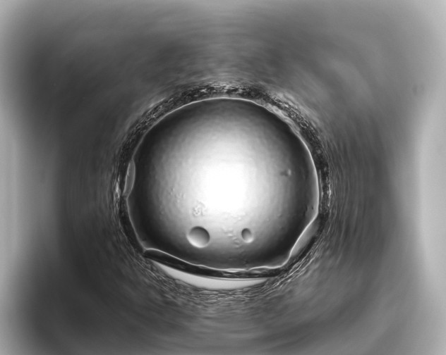X0000096421302200801311404