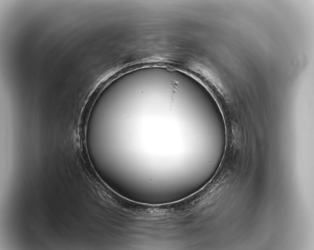 X0000096421308200801311404