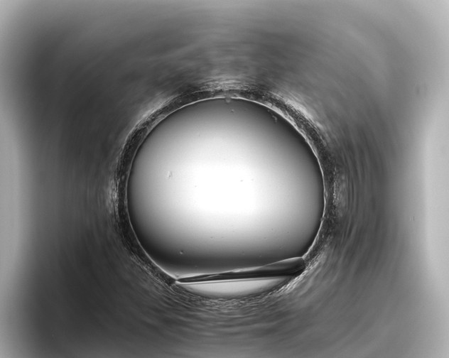 X0000096421309200801311404