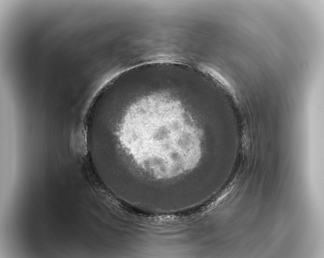 X0000096421310200801311404