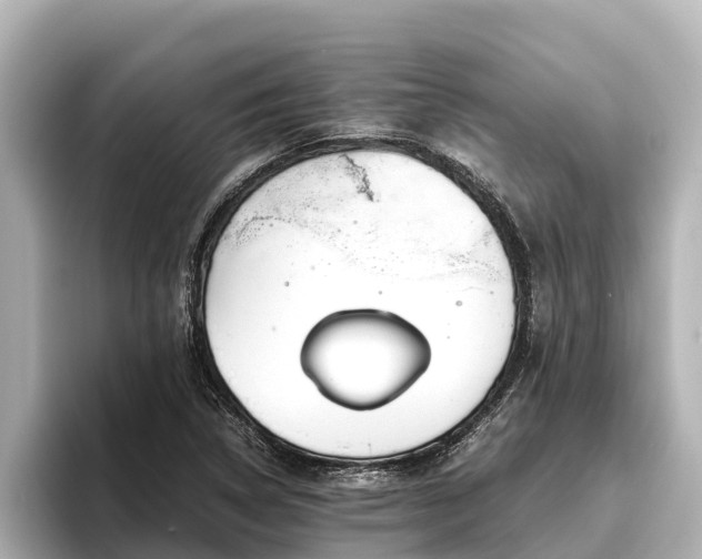 X0000096421314200801311404