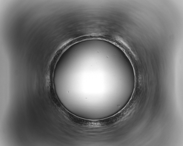 X0000096421315200801311404