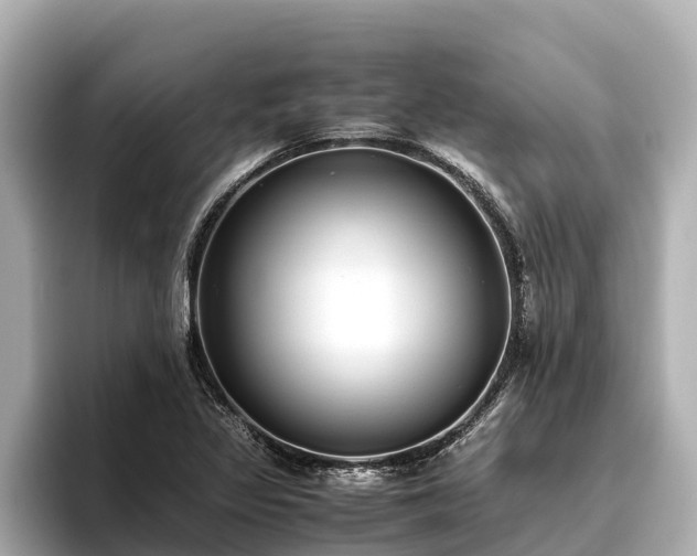X0000096421317200801311404