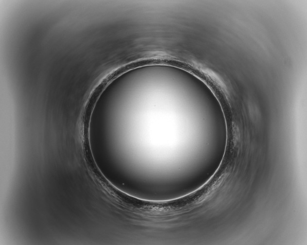 X0000096421318200801311404