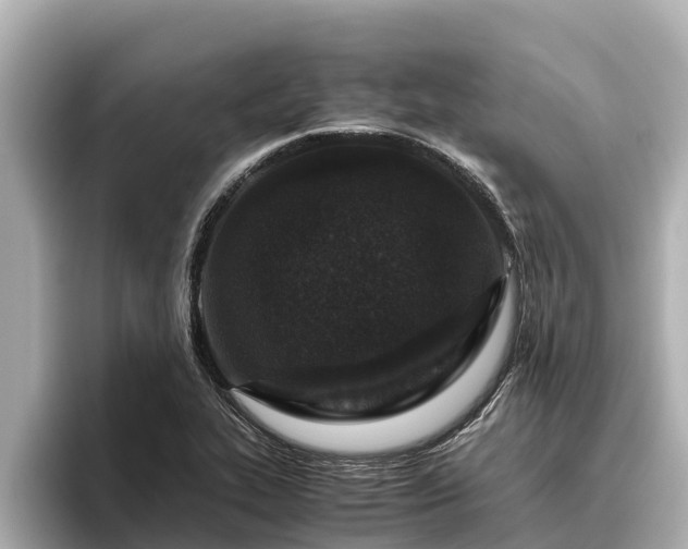 X0000096421319200801311404
