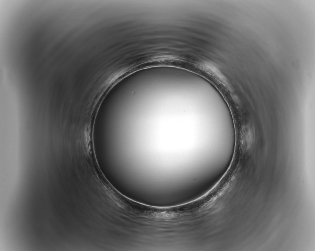 X0000096421321200801311404