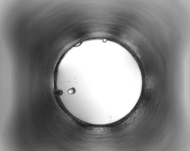 X0000096421322200801311404