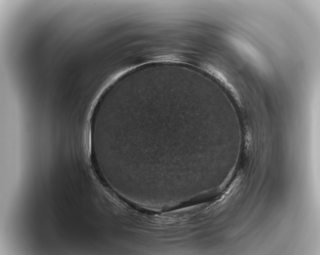 X0000096421323200801311404
