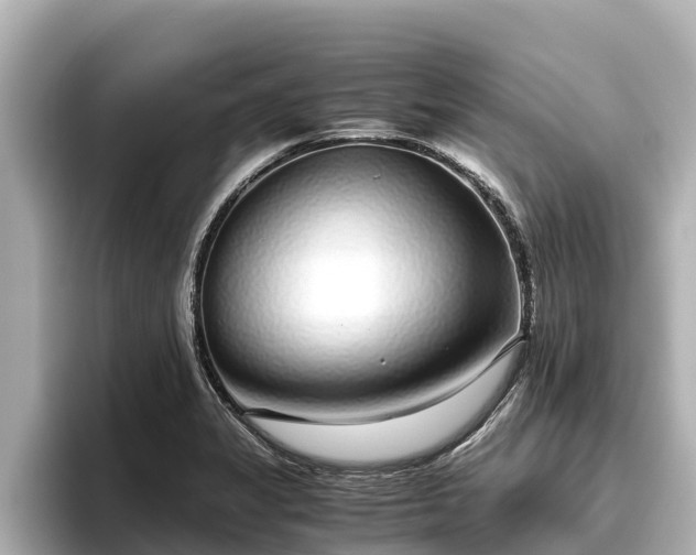 X0000096421325200801311404