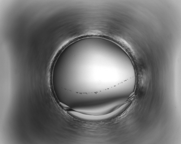 X0000096421326200801311404
