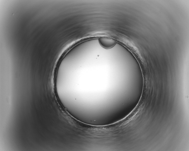 X0000096421328200801311404
