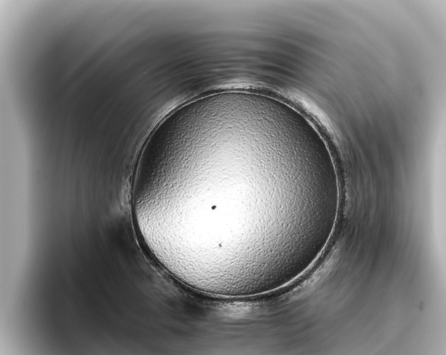 X0000096421329200801311404