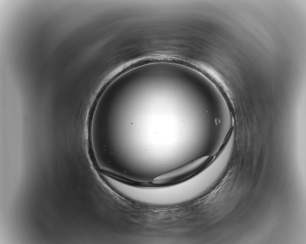 X0000096421335200801311405