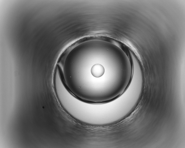 X0000096421336200801311405