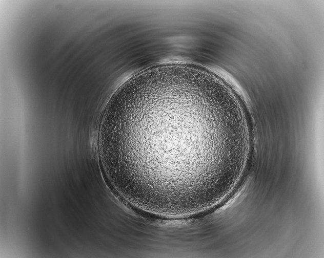 X0000096421337200801311405