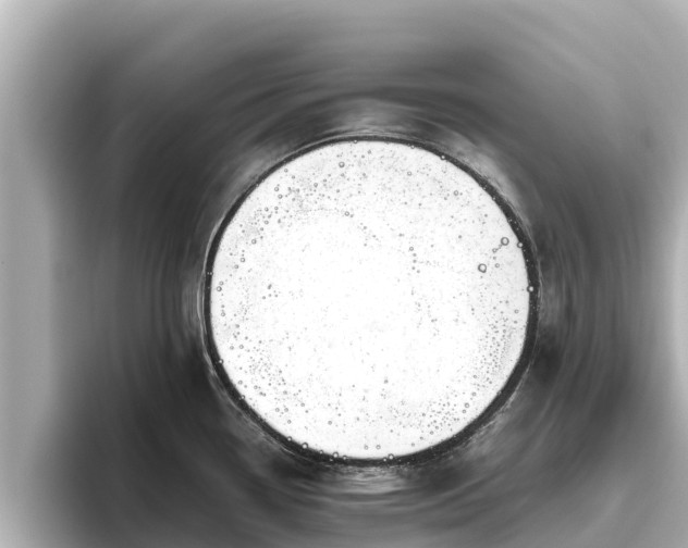 X0000096421338200801311405