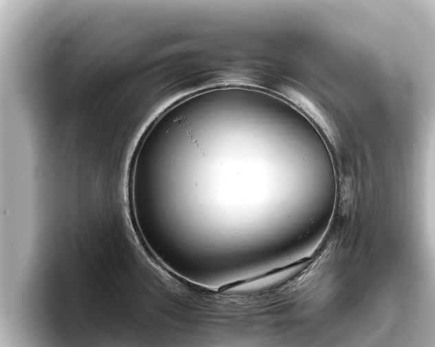 X0000096421339200801311405