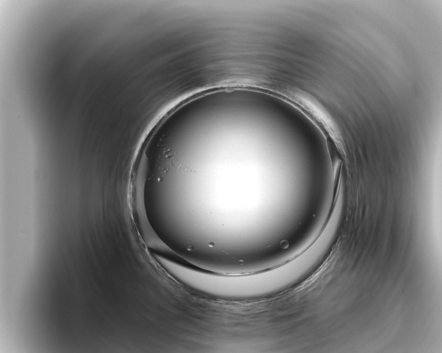 X0000096421340200801311405