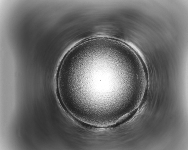 X0000096421341200801311405