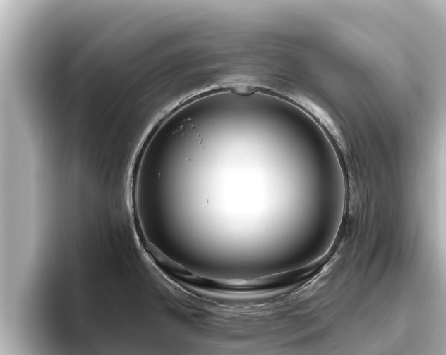 X0000096421342200801311405