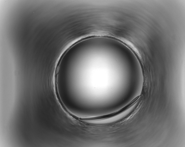 X0000096421343200801311405