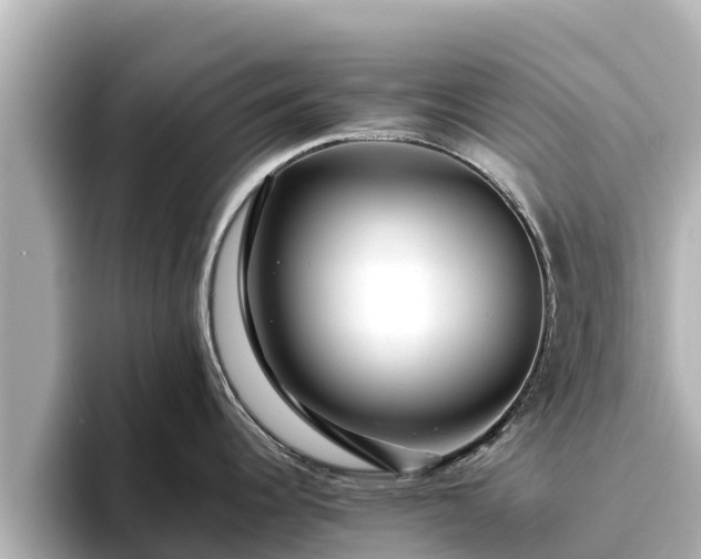 X0000096421344200801311405