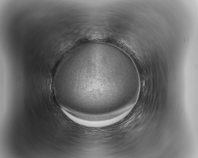 X0000096421348200801311404