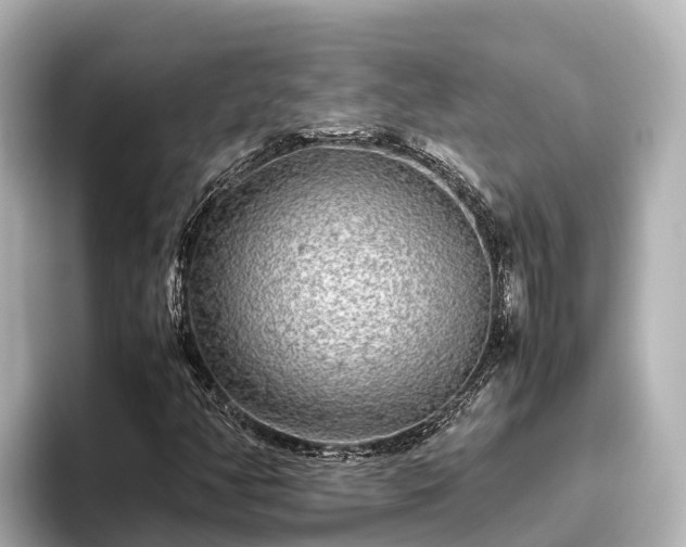 X0000096421350200801311404