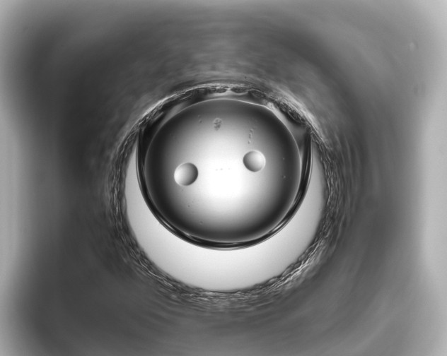 X0000096421352200801311404