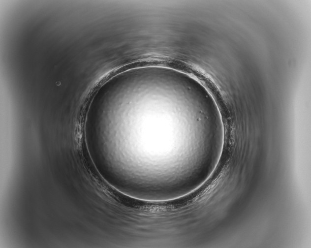 X0000096421355200801311404