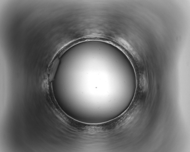 X0000096421356200801311404
