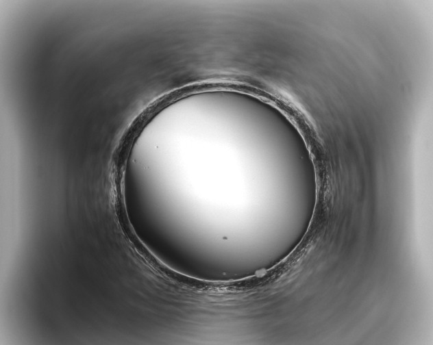 X0000096421360200801311404