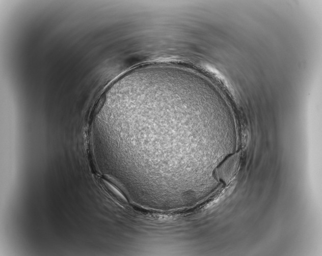 X0000096421361200801311404