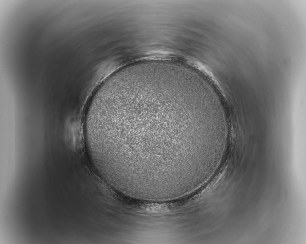 X0000096421362200801311404