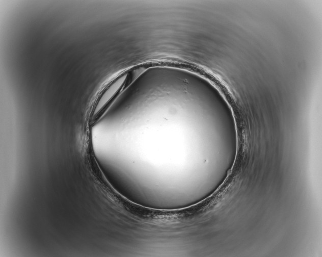 X0000096421363200801311404