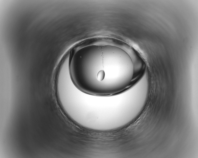 X0000096421368200801311404