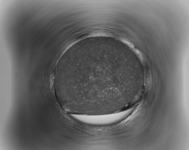 X0000096421369200801311404