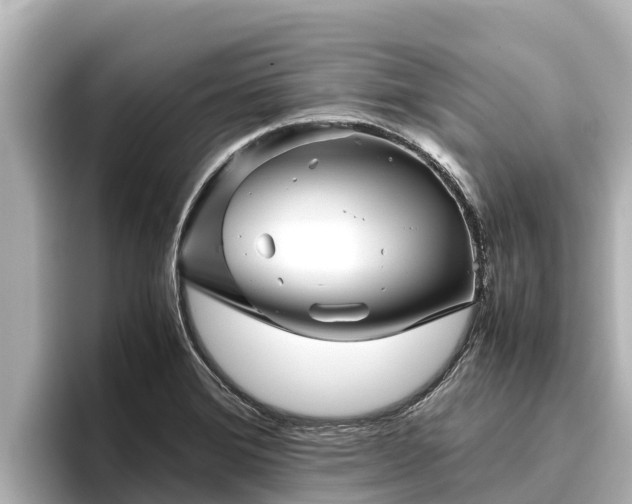 X0000096421372200801311404
